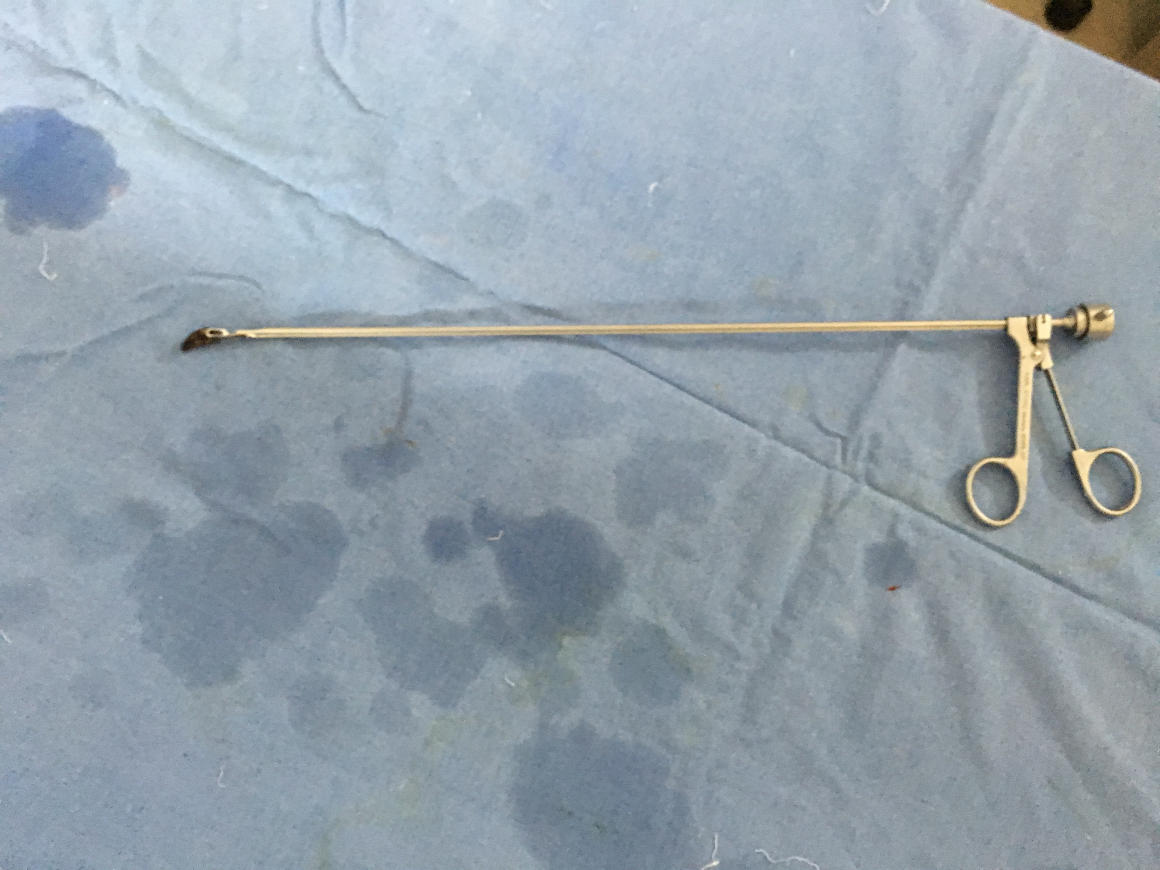 Bronchoscopy Image 3